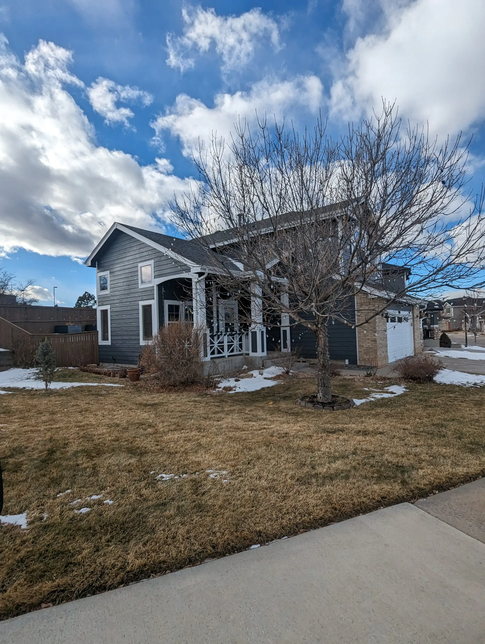 Highlands Ranch Home 1